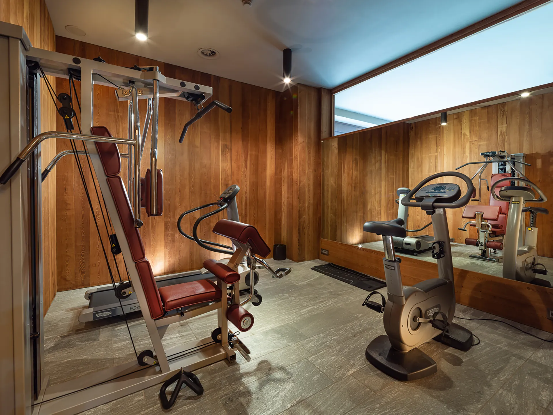 In the picture, the gym at the Grand Hotel della Posta equipped with an exercise bike, a treadmill and a shoulder press. On the other side of the room, a full-length mirror.
